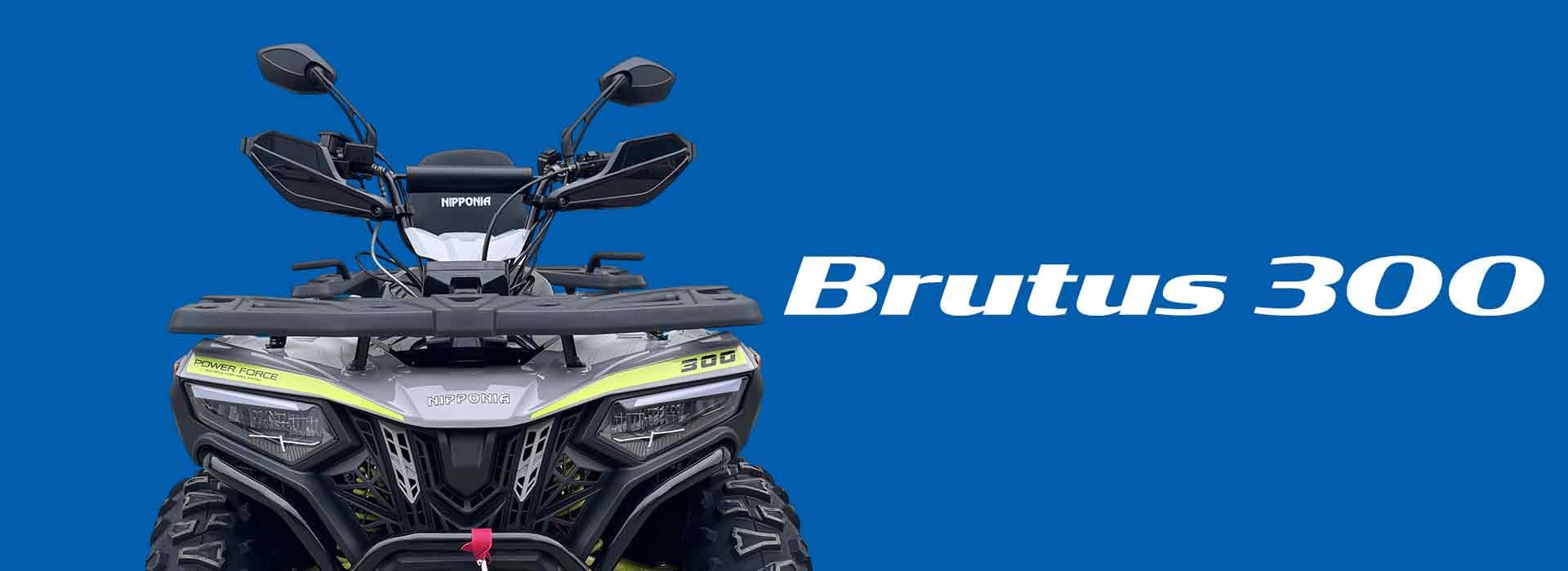 site-banner-new-design-Brutus-2