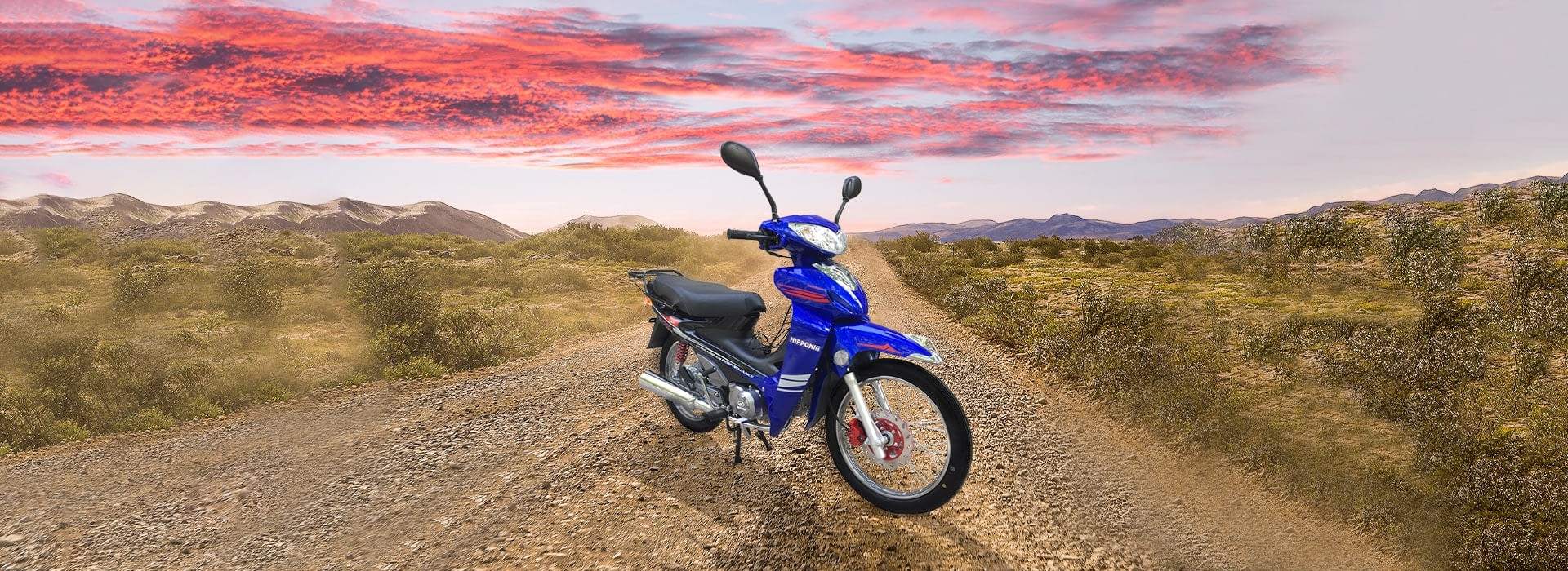 Nipponia NC 110 Cub Moto
