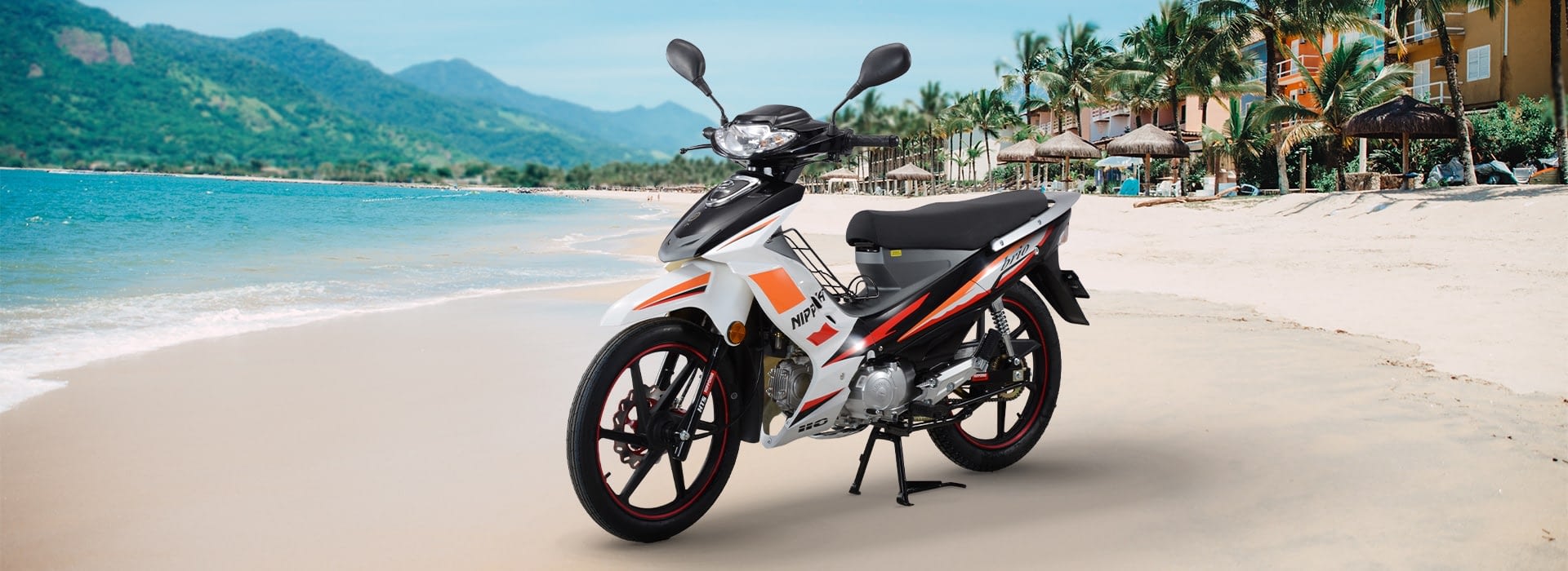 Nipponia Brio 110 Aros de Aluminio Cub Moto